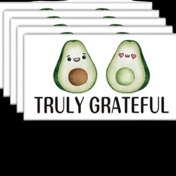 10 pc 5 polymailers 10 x 13 + 5 matching thank you cards - Picture 3 of 5